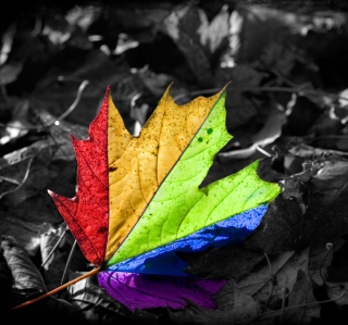 Kostenloses Colored Leaf Wallpaper für iPad