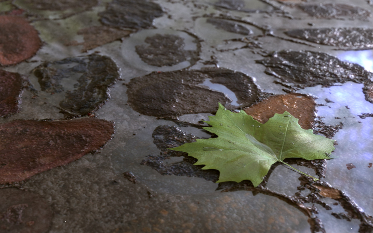 Autumn screenshot #1 1280x800