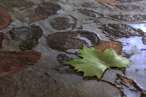 Autumn screenshot #1 480x320