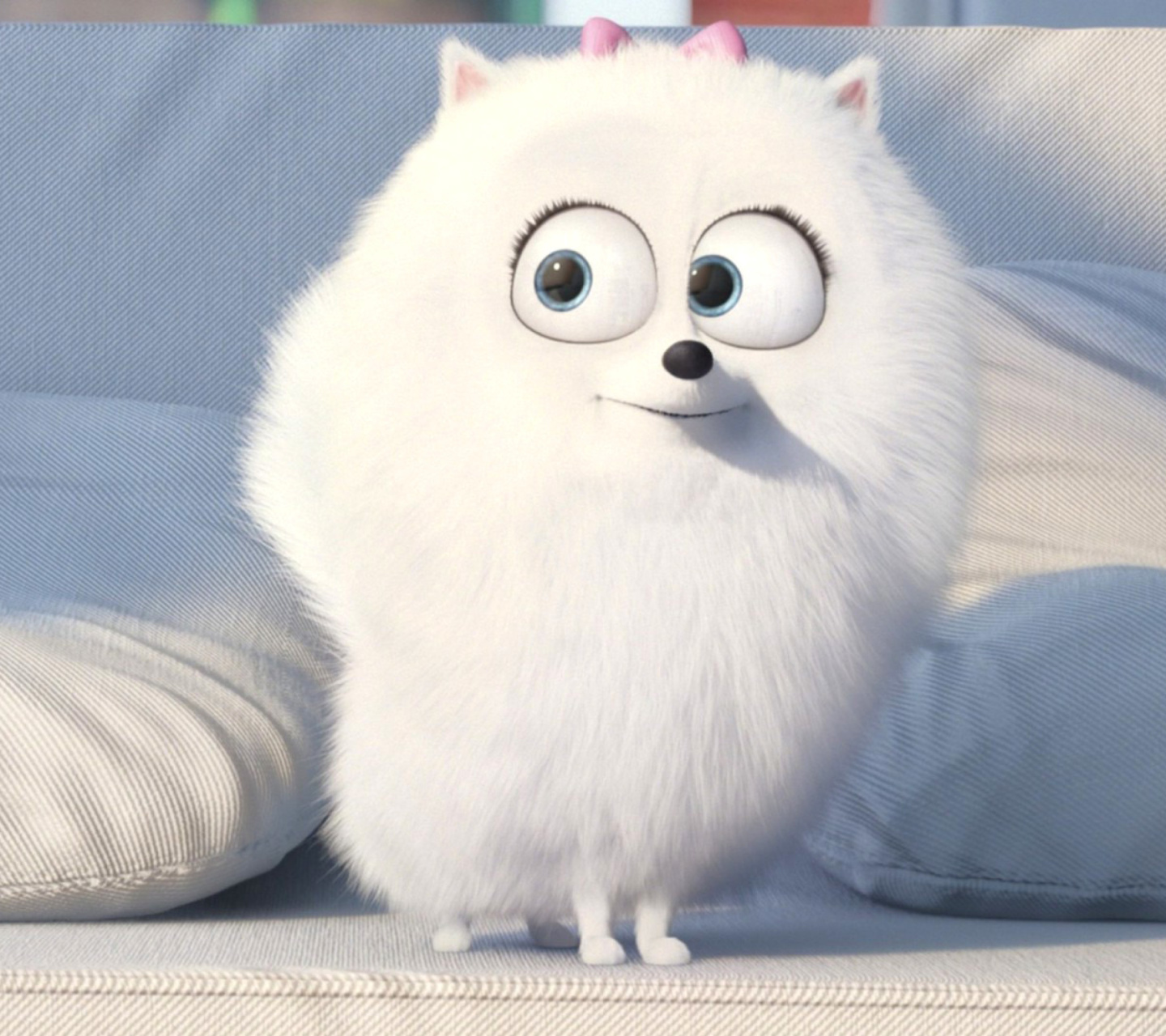 Обои The Secret Life of Pets, Snowball 1440x1280