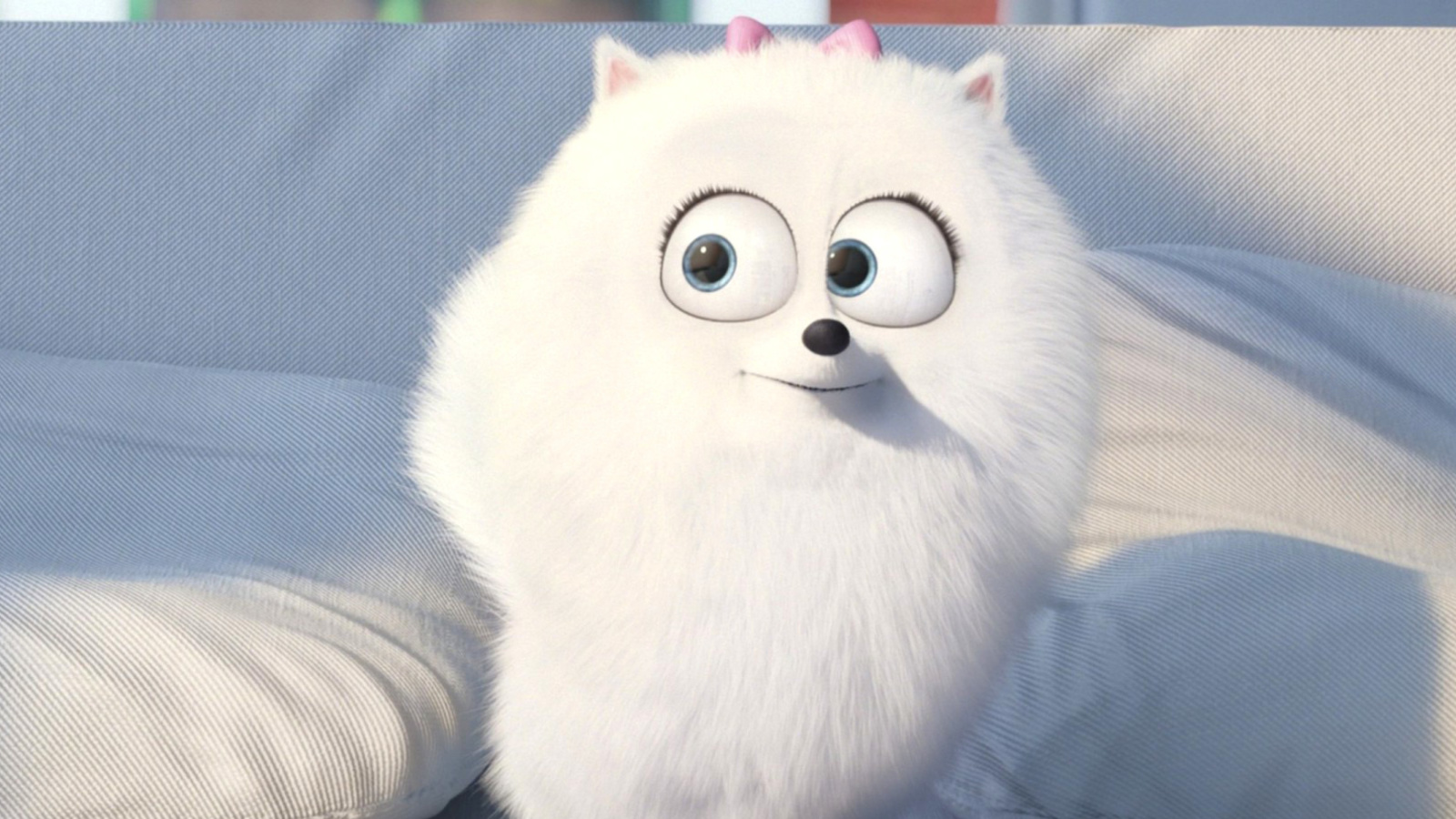 The Secret Life of Pets, Snowball wallpaper 1600x900