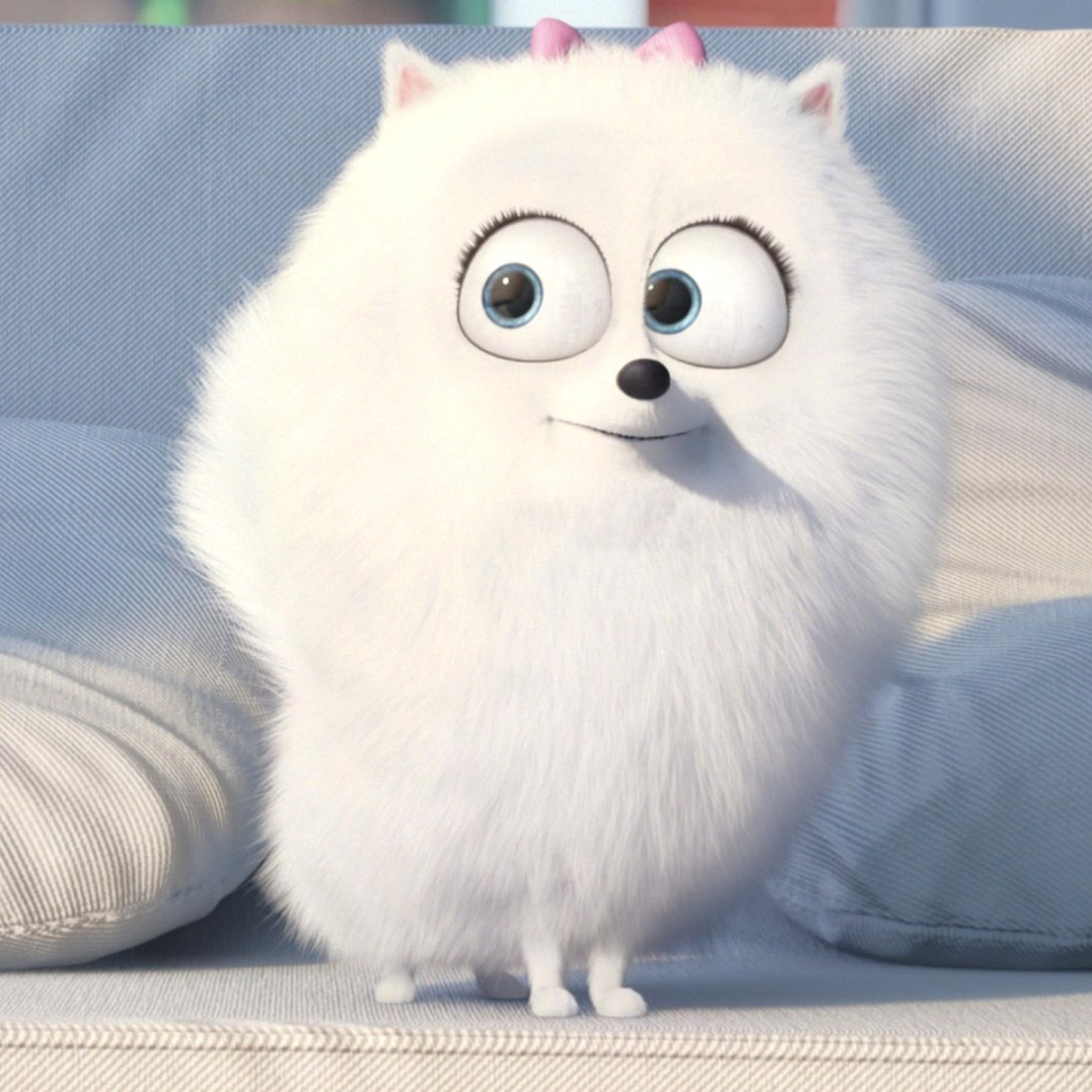 Das The Secret Life of Pets, Snowball Wallpaper 2048x2048