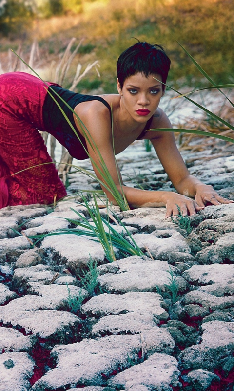 Fondo de pantalla Rihanna Posing 480x800