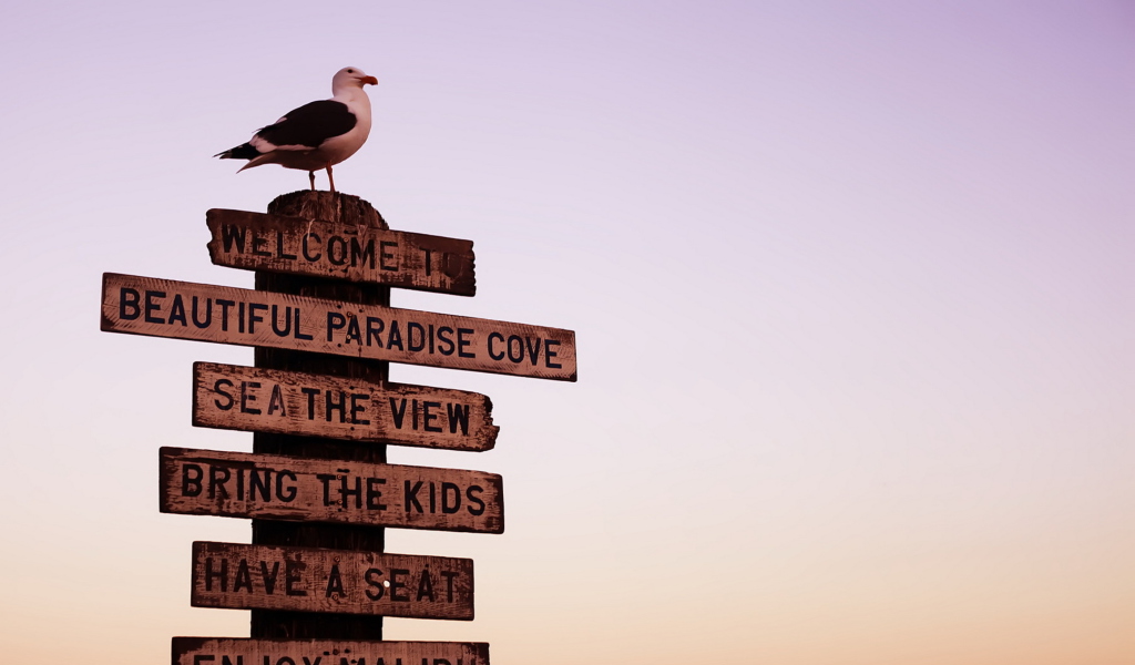 Das Welcome To Paradise Wallpaper 1024x600