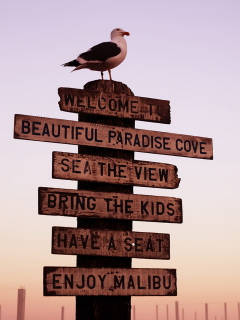 Welcome To Paradise wallpaper 240x320