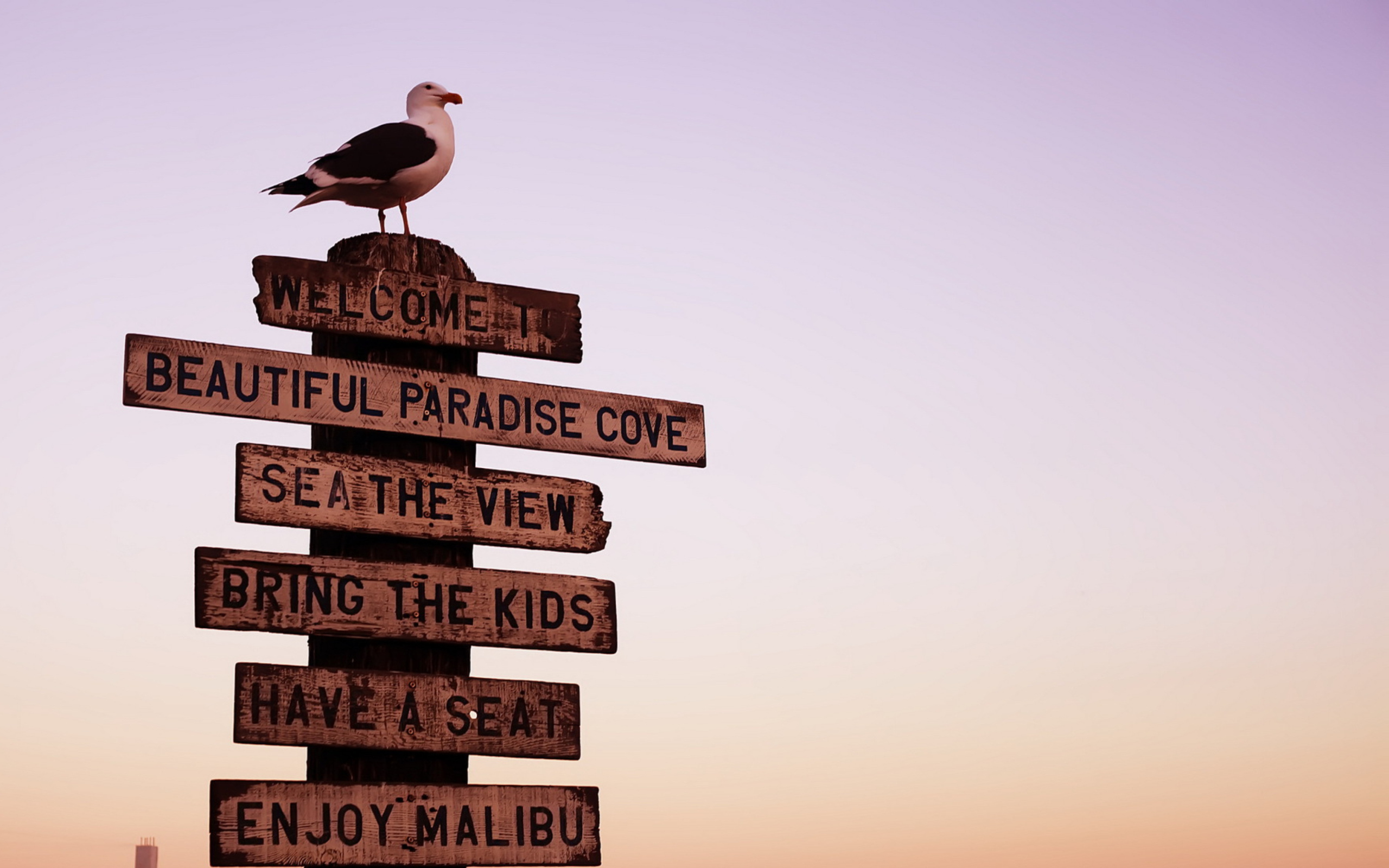 Welcome To Paradise wallpaper 2560x1600