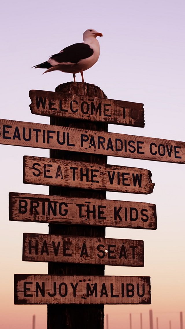 Обои Welcome To Paradise 640x1136