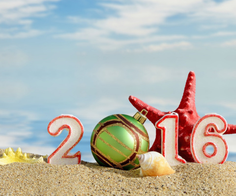 Screenshot №1 pro téma New Year 2016 Beach Theme 480x400