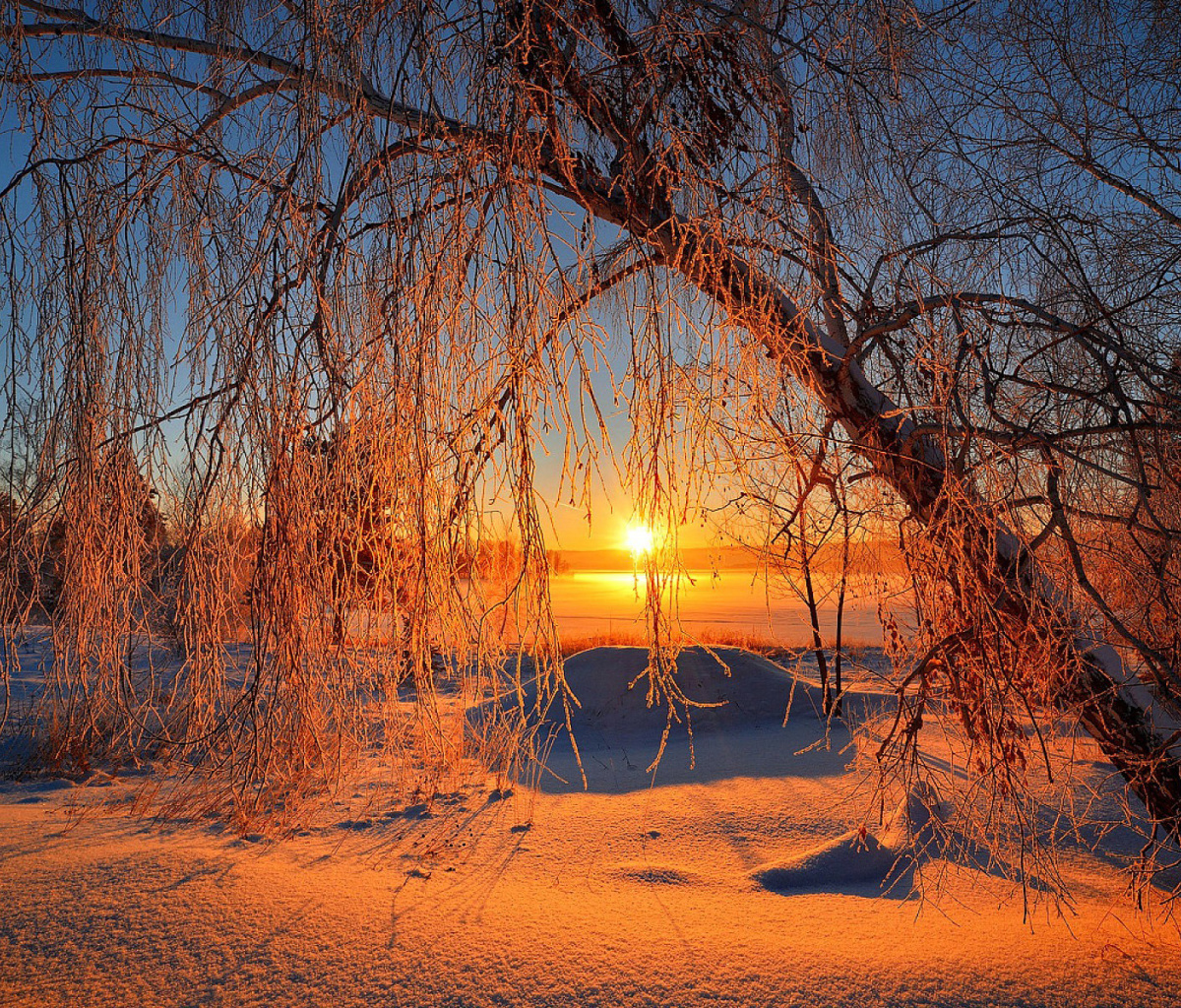 Sfondi Winter Cold Landscape 1200x1024