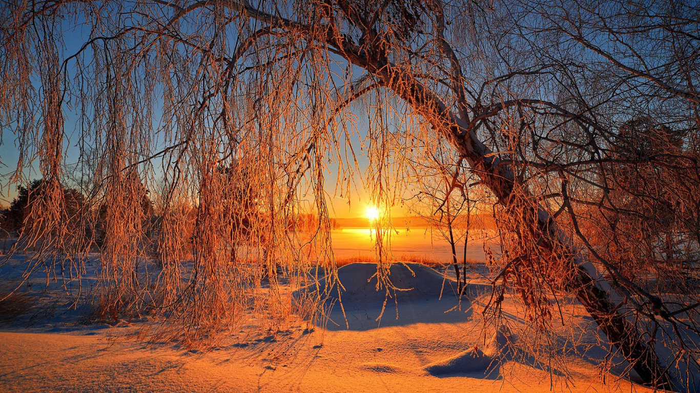 Screenshot №1 pro téma Winter Cold Landscape 1366x768