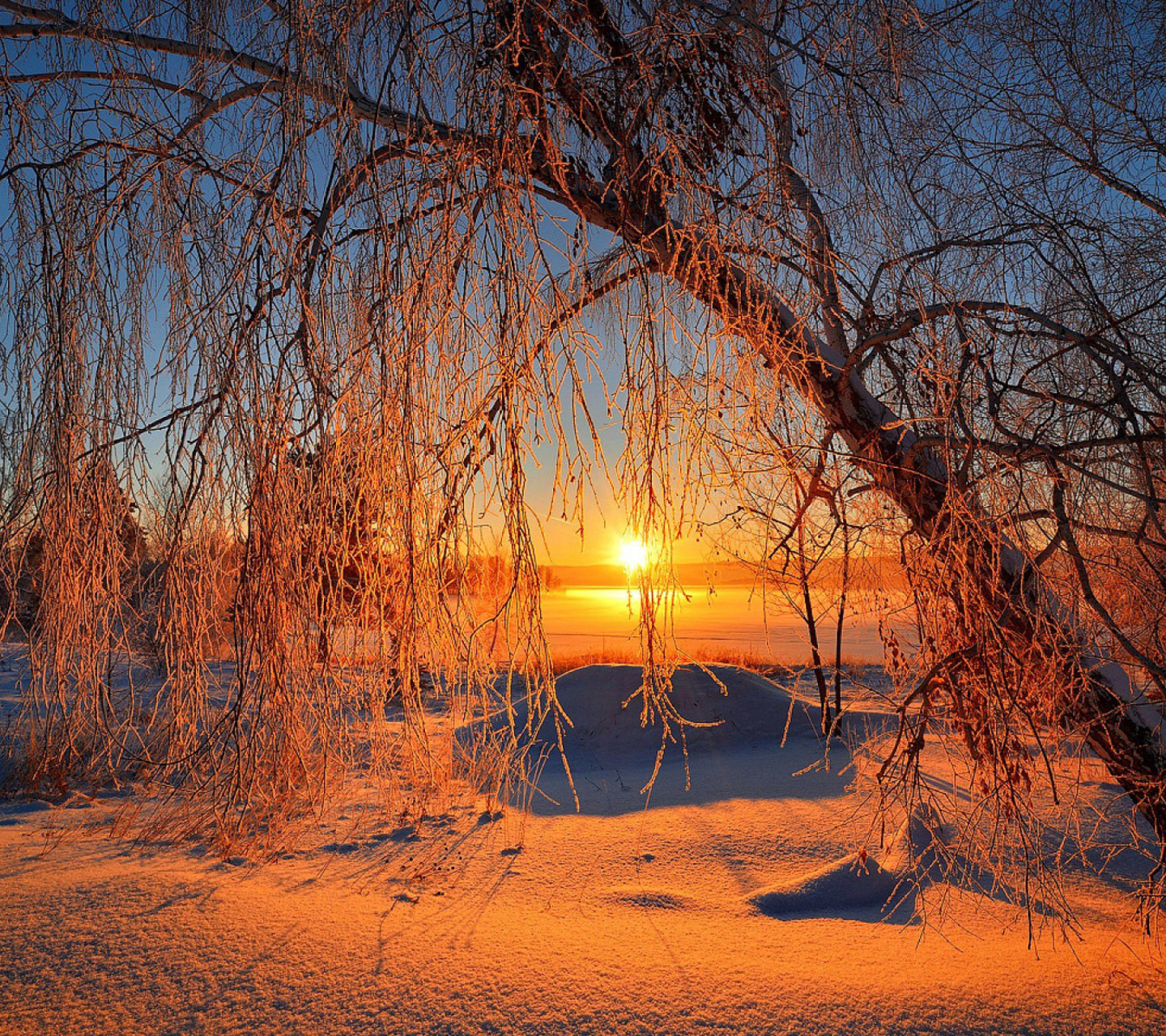 Das Winter Cold Landscape Wallpaper 1440x1280