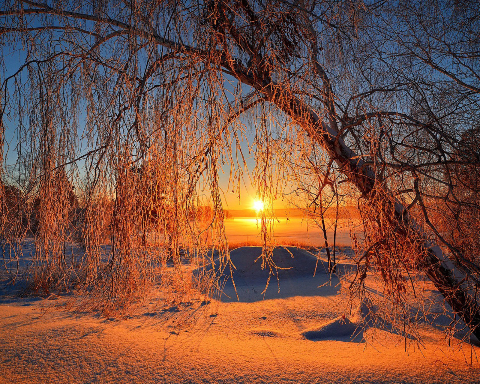 Обои Winter Cold Landscape 1600x1280
