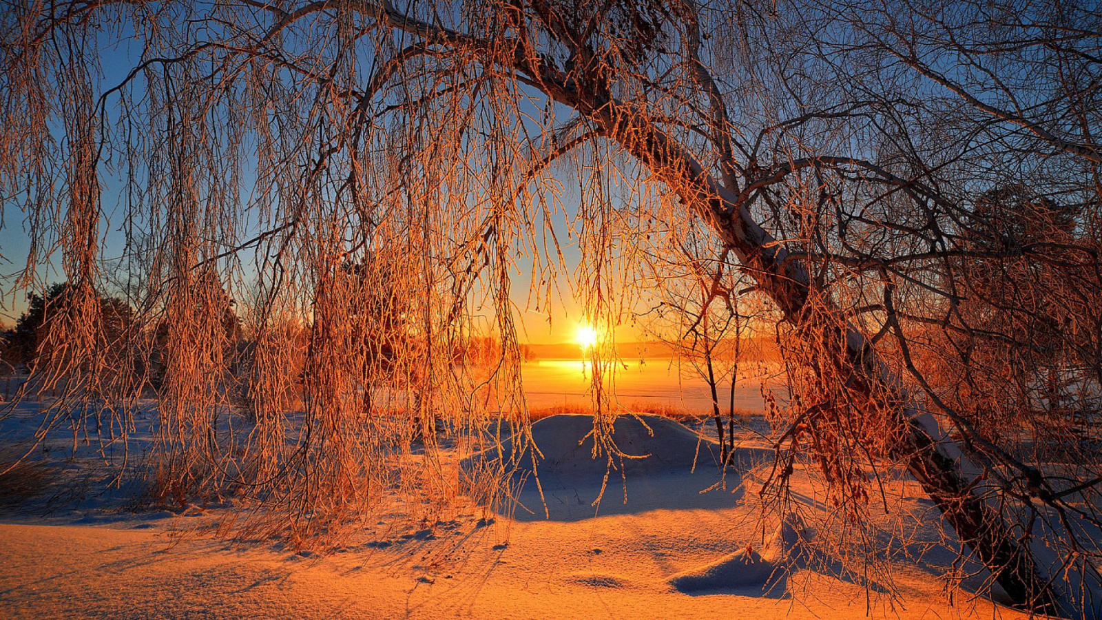 Fondo de pantalla Winter Cold Landscape 1600x900