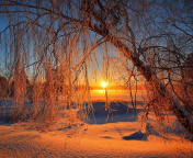 Fondo de pantalla Winter Cold Landscape 176x144