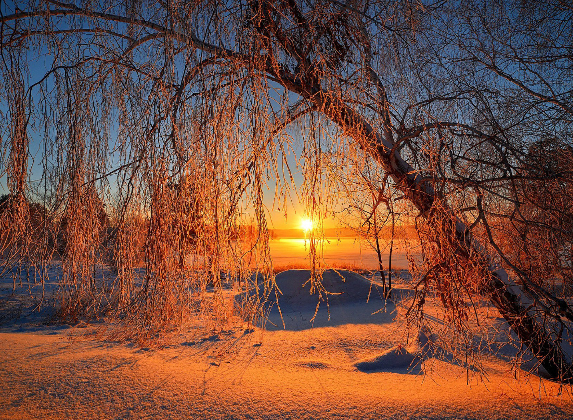 Fondo de pantalla Winter Cold Landscape 1920x1408