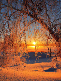Fondo de pantalla Winter Cold Landscape 240x320