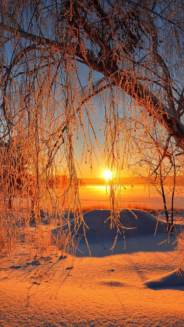 Fondo de pantalla Winter Cold Landscape 360x640
