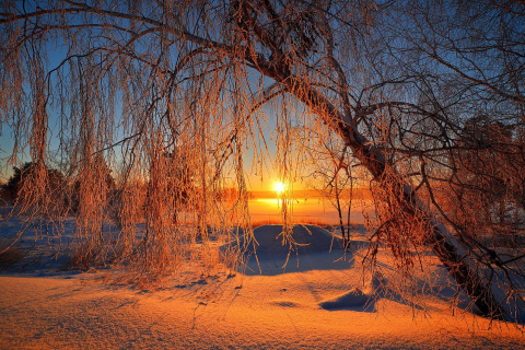 Fondo de pantalla Winter Cold Landscape 480x320