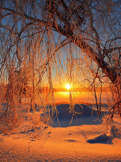Screenshot №1 pro téma Winter Cold Landscape 480x640
