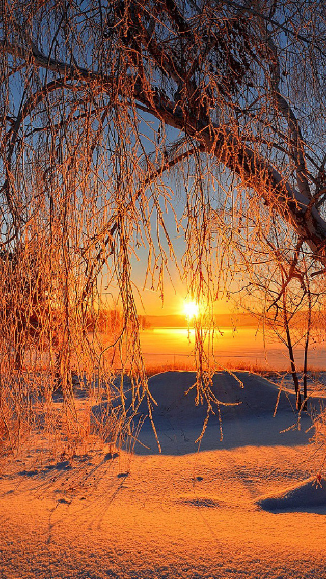 Winter Cold Landscape wallpaper 640x1136