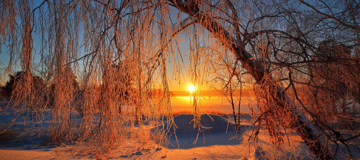 Winter Cold Landscape wallpaper 720x320