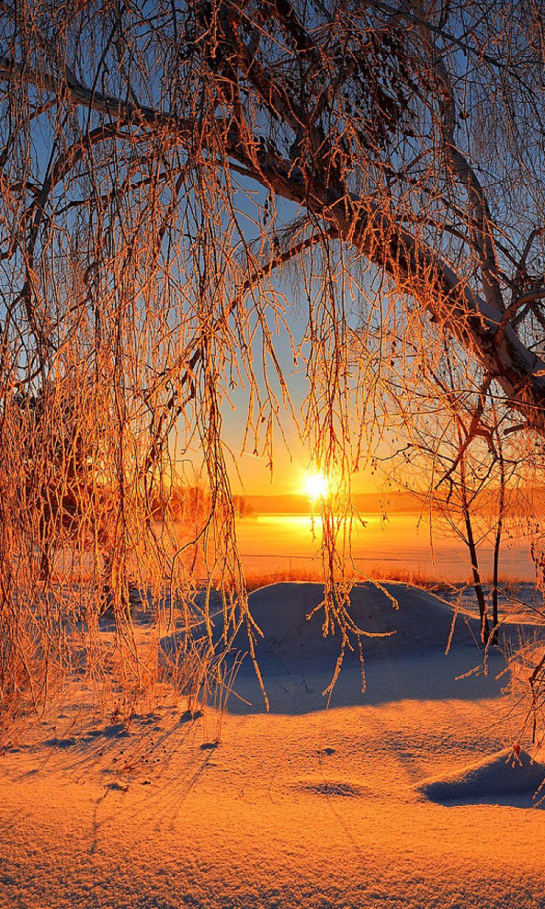 Das Winter Cold Landscape Wallpaper 768x1280