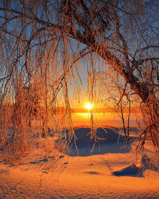 Winter Cold Landscape - Obrázkek zdarma pro 640x960