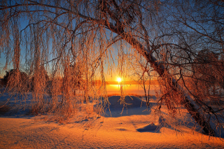 Winter Cold Landscape - Obrázkek zdarma 