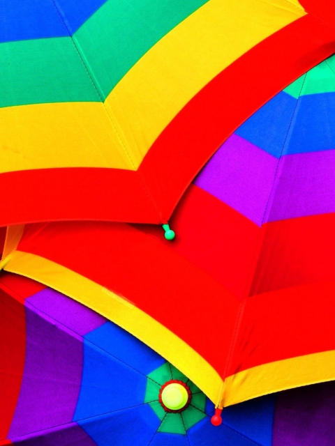 Обои Colourful Umbrella 480x640