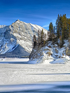 Sfondi Warm snowy weather in mountains 240x320