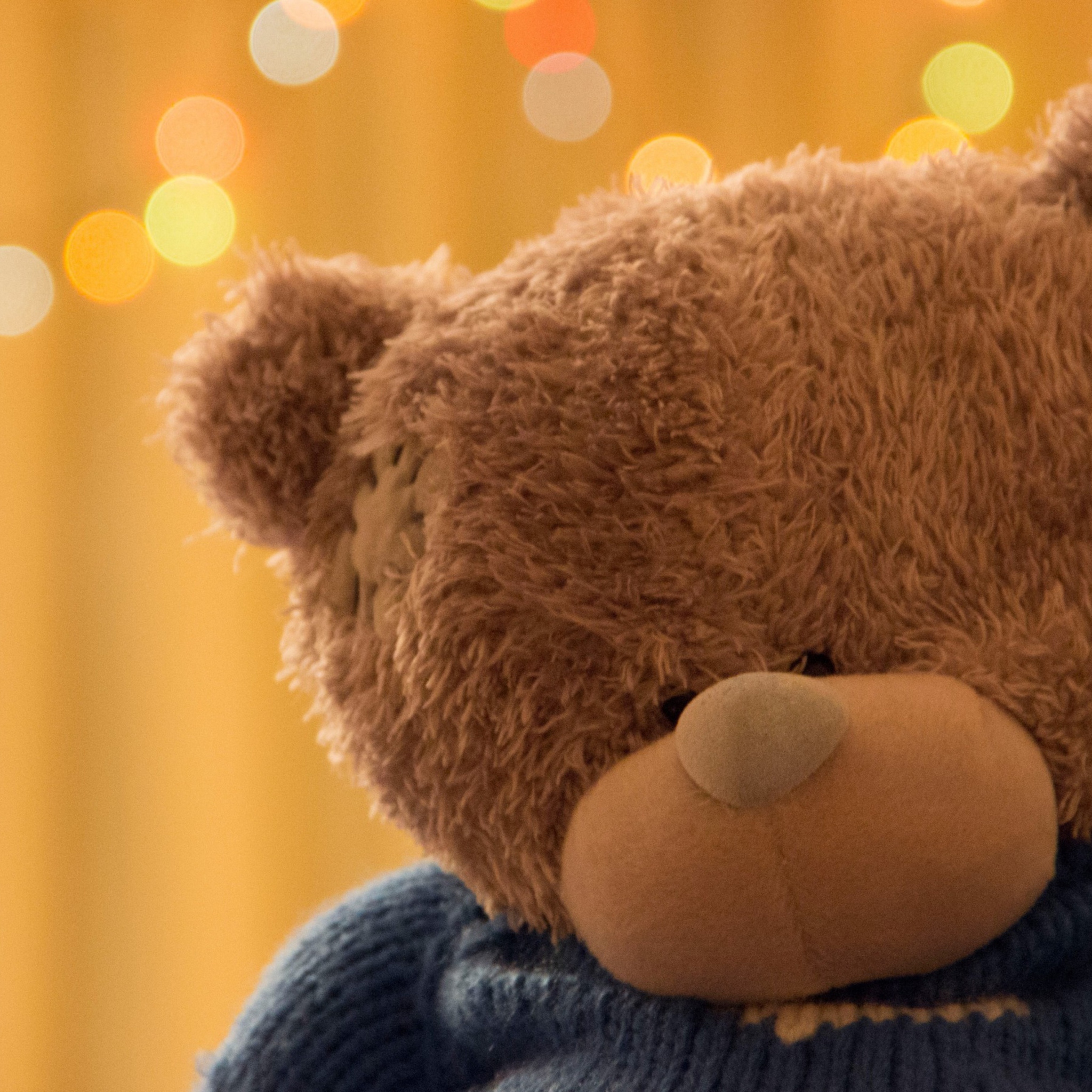 Fondo de pantalla Cute Teddy Bear 2048x2048