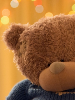 Fondo de pantalla Cute Teddy Bear 240x320