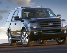 Das Ford Expedition Wallpaper 220x176