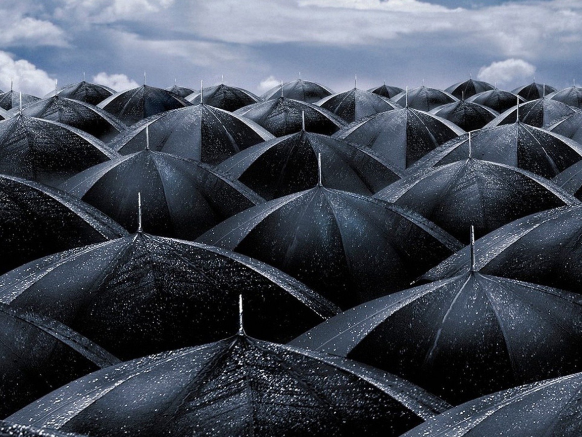 Black Umbrellas wallpaper 1152x864