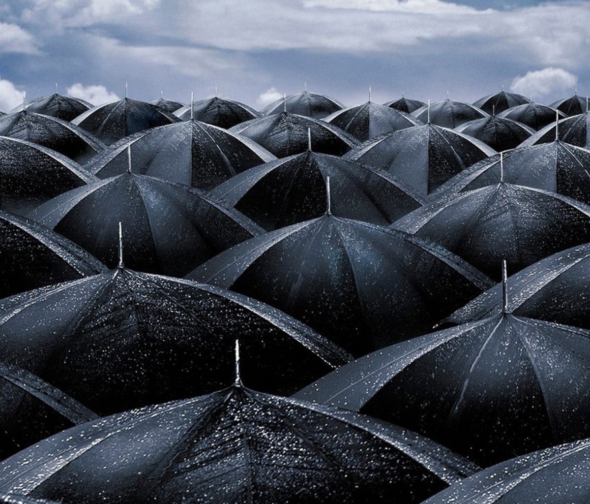 Black Umbrellas wallpaper 1200x1024