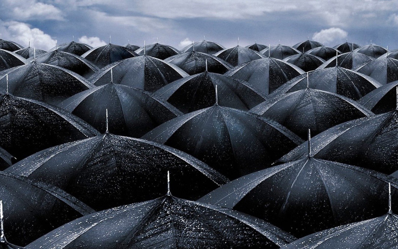 Black Umbrellas wallpaper 1280x800
