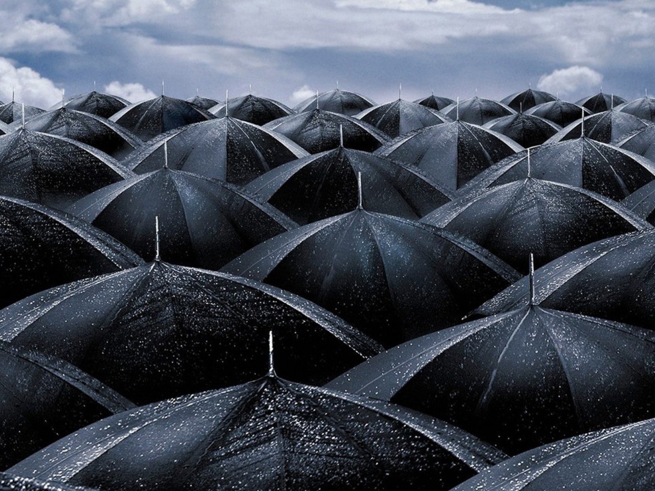 Sfondi Black Umbrellas 1280x960