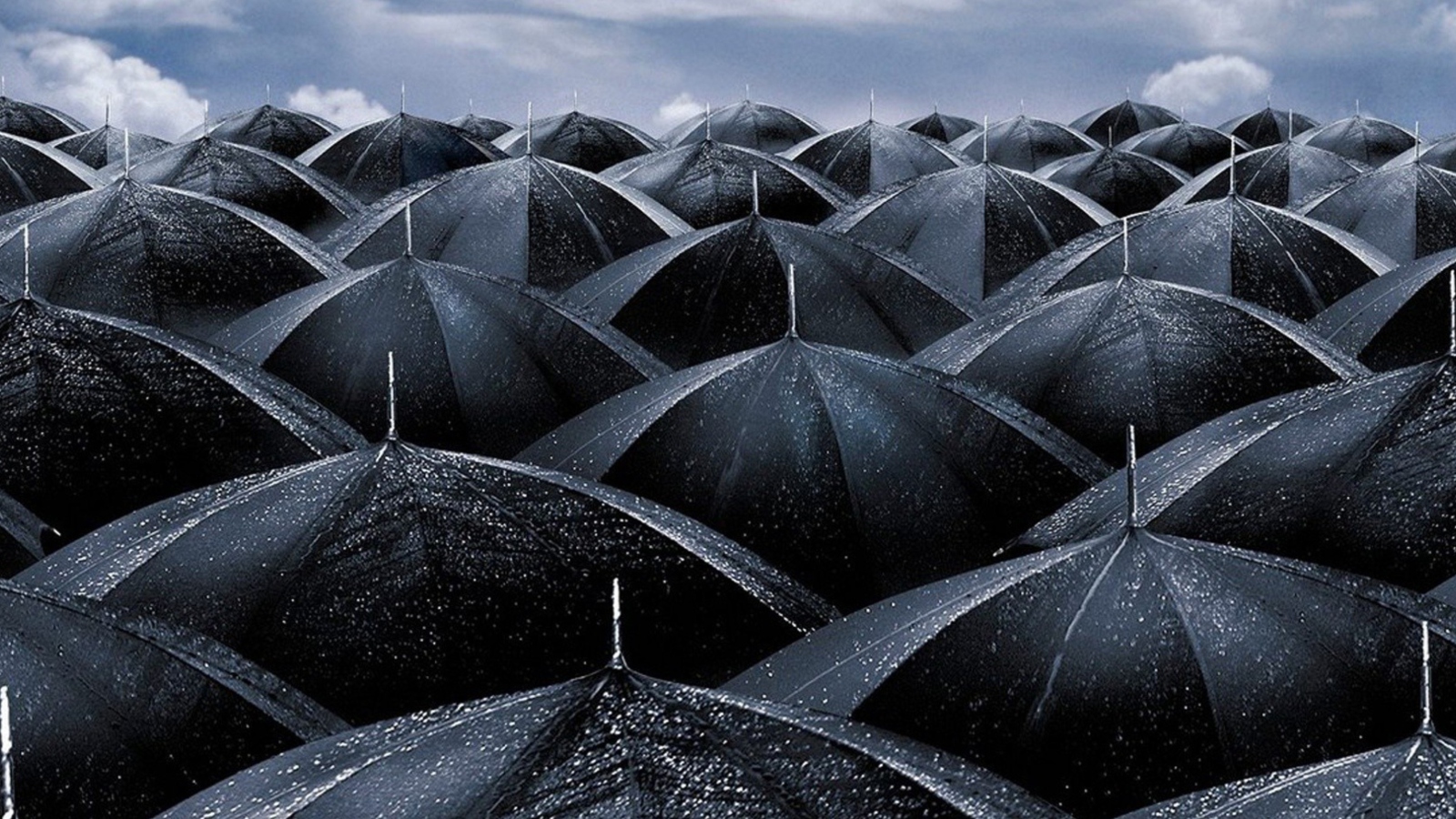 Обои Black Umbrellas 1600x900