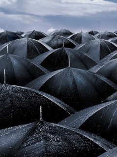 Das Black Umbrellas Wallpaper 240x320