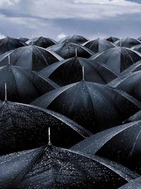 Black Umbrellas wallpaper 480x640