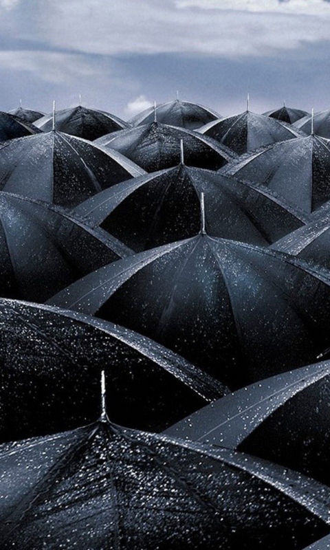 Black Umbrellas wallpaper 480x800