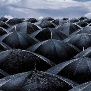 Kostenloses Black Umbrellas Wallpaper für iPad 3