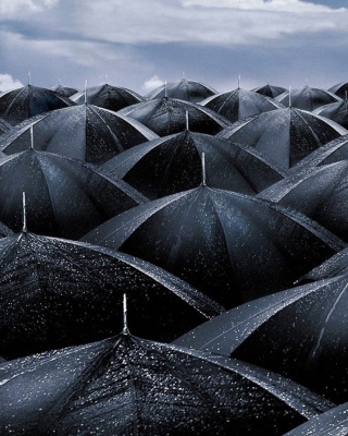 Free Black Umbrellas Picture for 240x320