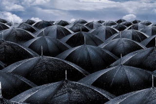 Black Umbrellas Background for Android, iPhone and iPad