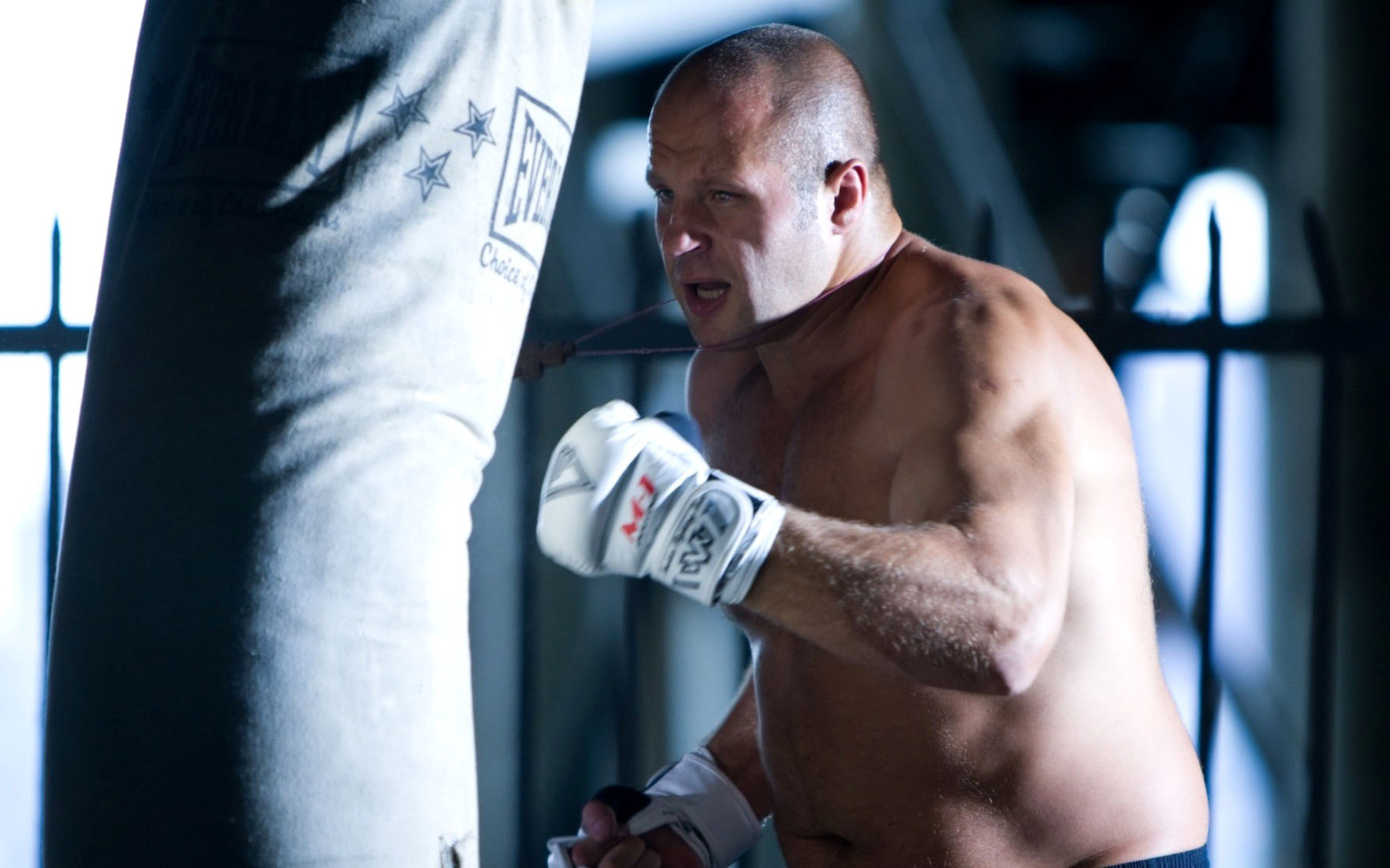 Sfondi Fedor The Last Emperor Emelianenko MMA Star 1440x900