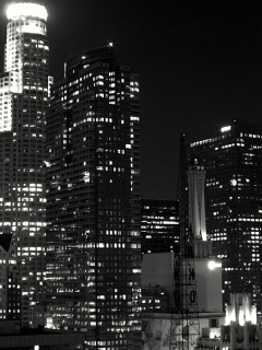 Los Angeles Black And White wallpaper 240x320