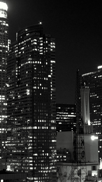 Los Angeles Black And White screenshot #1 360x640