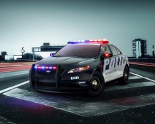 Ford Police Car screenshot #1 220x176