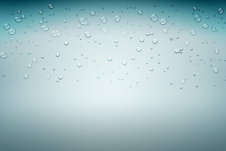 Water Drops On Glass sfondi gratuiti per 1200x1024