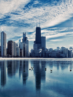 Fondo de pantalla Chicago, Illinois 240x320